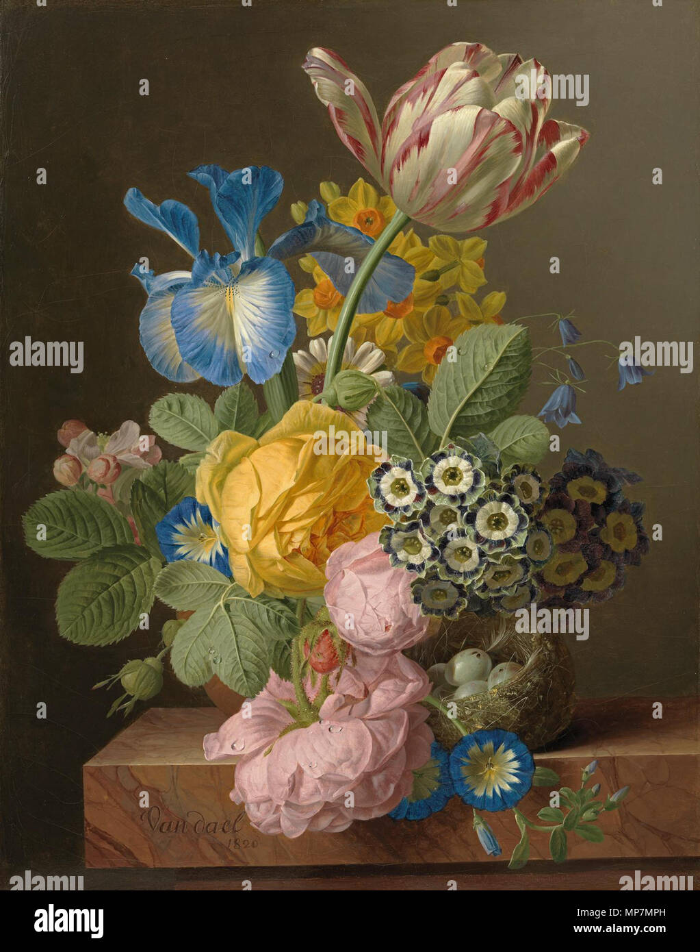 . English A still life of roses, a tulip, an iris, morning glory