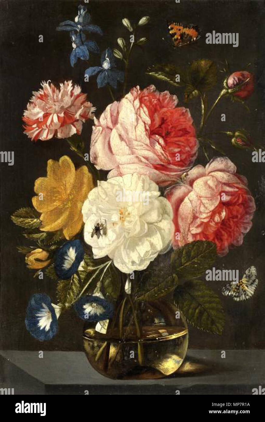 A vase of flowers  between 1648 and 1679.   704 Jan van Kessel (I) - A vase of flowers (2) Stock Photo
