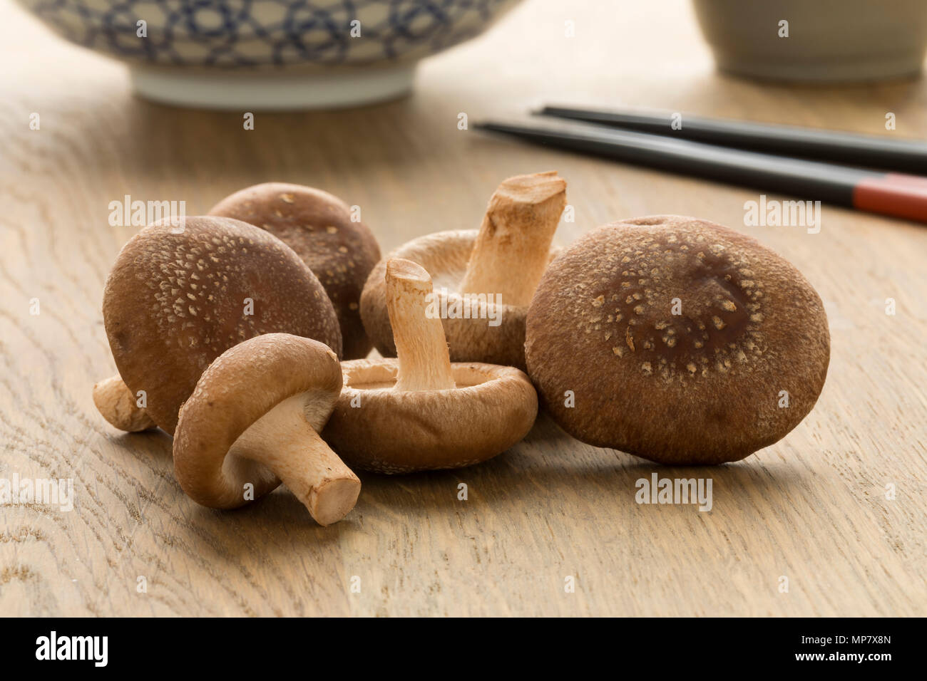 Shiitake mushrooms hires stock photography and images Alamy