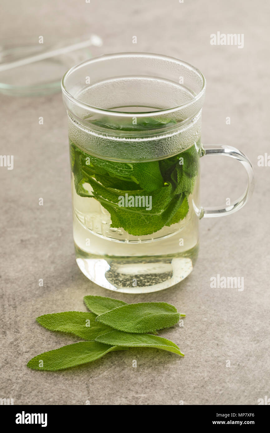 Glass of fresh healthy sage tea decorated with leaves Stock Photo