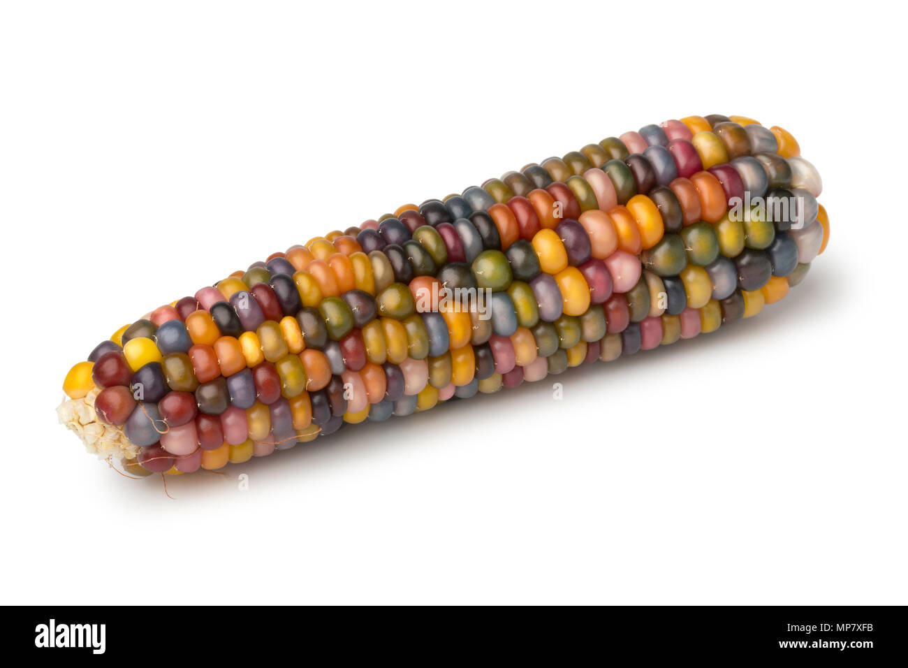 Single fresh raw colorful gem glass corn on cob isolated on white background Stock Photo