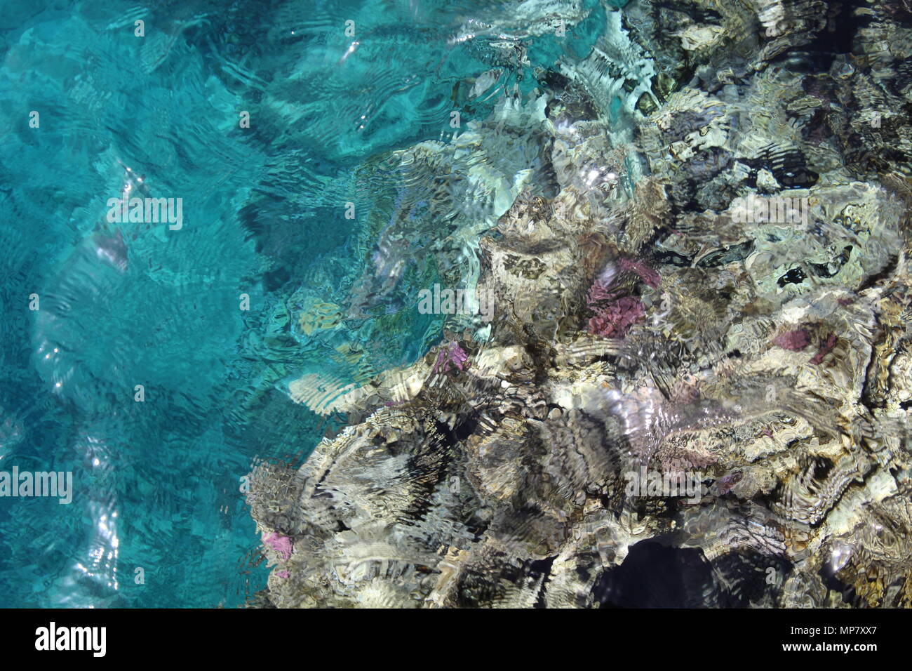 Aqua soil hi-res stock photography and images - Alamy