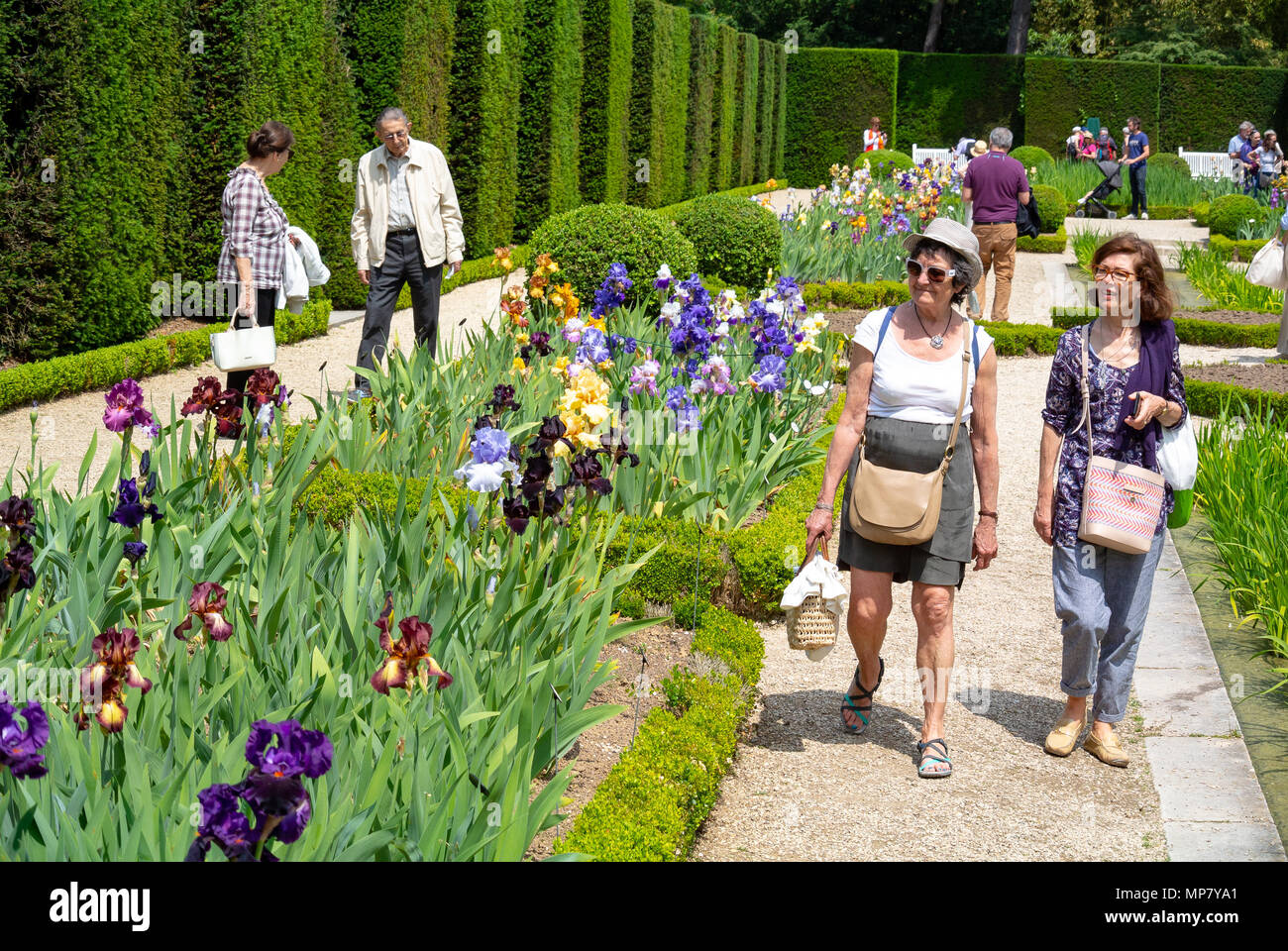 Caucasian tourists visiting iris garden, Bagatelle Park, Paris, France Stock Photo