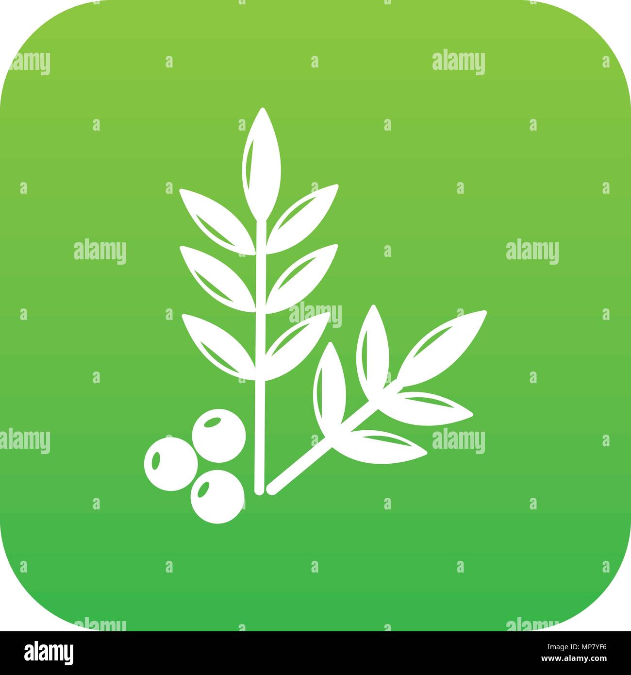 Spa eco leafs icon green vector Stock Vector