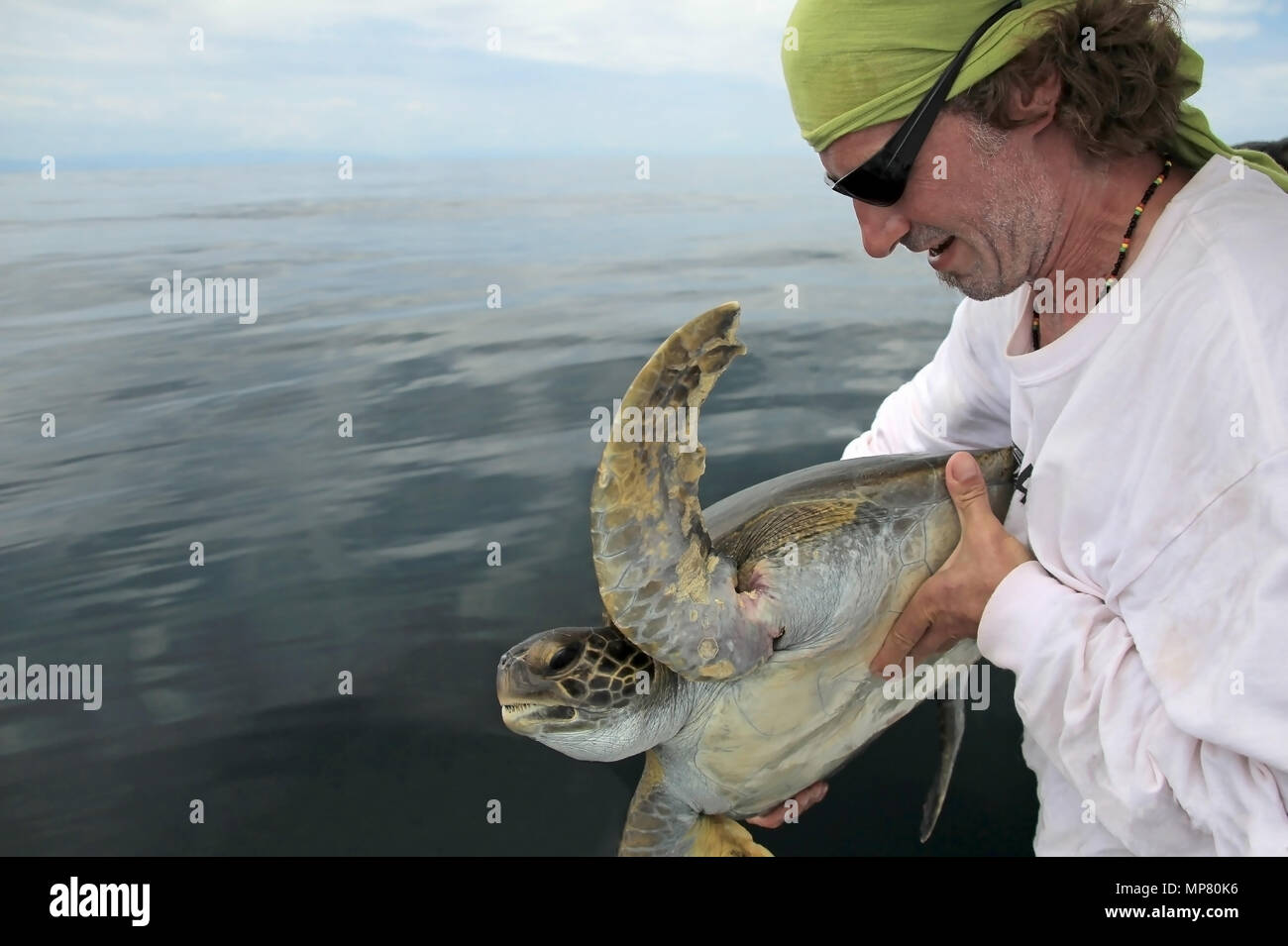 Sea turtle rescue from a fishing net, Costa Rica Stock Photo