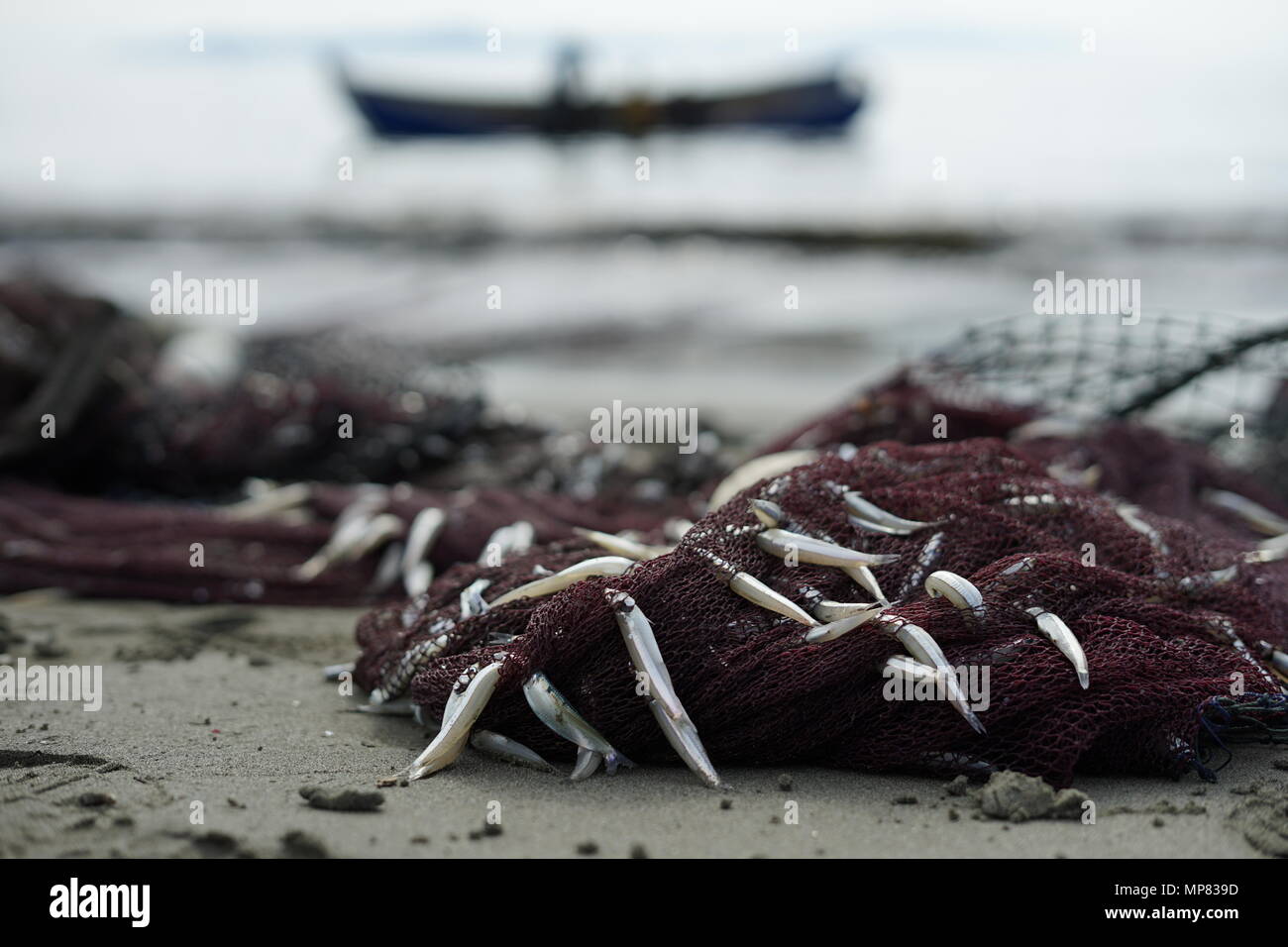 Fish Net Trawler Catch High Resolution Stock Photography and Images - Alamy