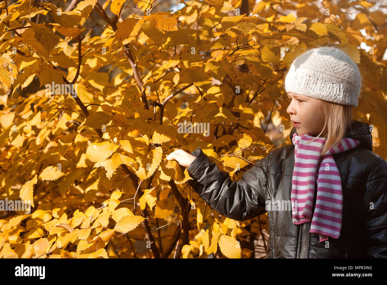 Cute girl in autumn park portrait Stock Photo - Alamy