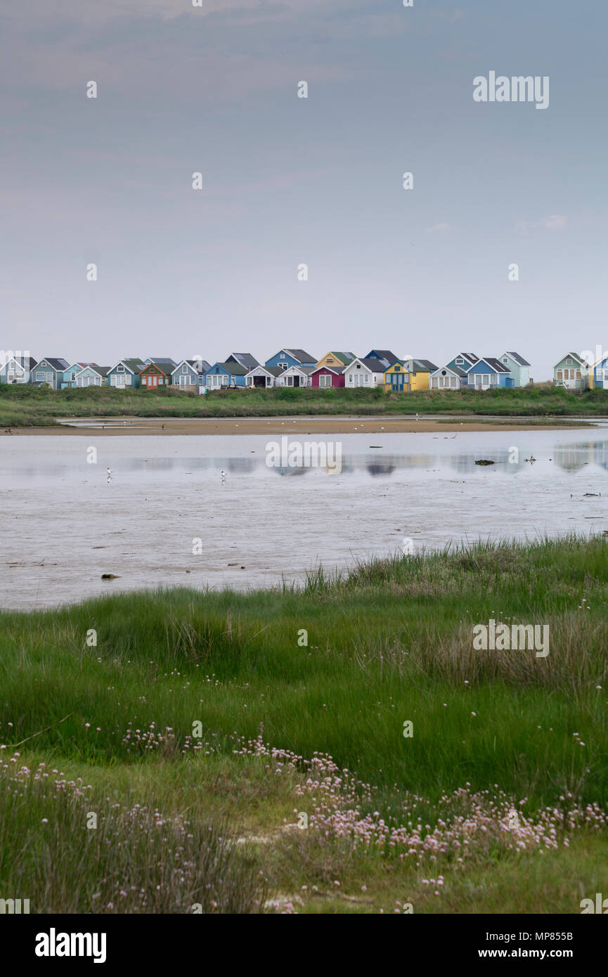 The Harbour facing beach huts viewed from across Holloway's Dock. Stock Photo