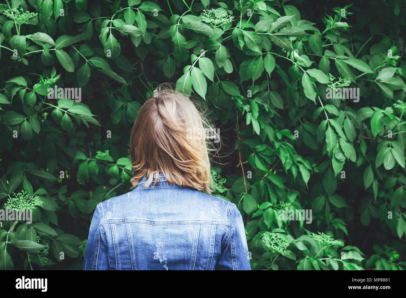 Blond woman standing backwards and looking on the green leaves in windy weather. Conceptual realism. Stock Photo