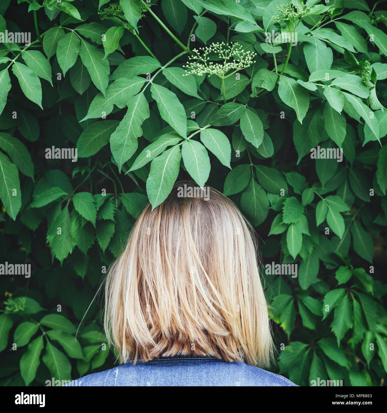 Blond woman standing backwards and looking on the green leaves. Conceptual realism, square. Stock Photo