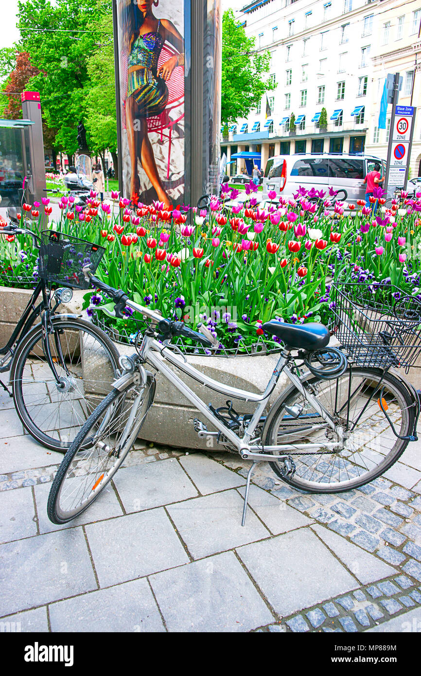 Munich, Germany May 8, 2013 Bicycles and street flowerbed with blooming tulip flowers at the