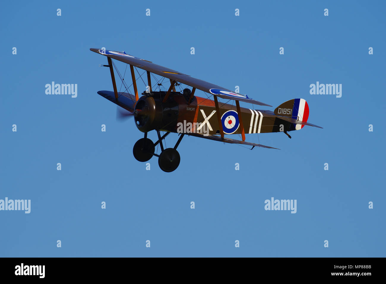Sopwith Camel Stock Photo Alamy