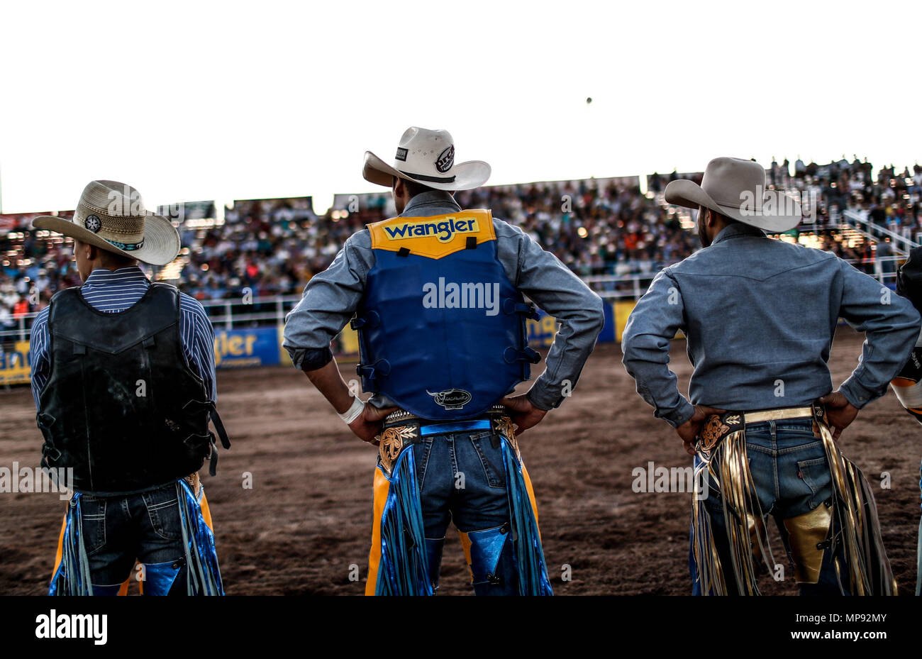 Vaqueros wrangler hi-res stock photography and images - Alamy