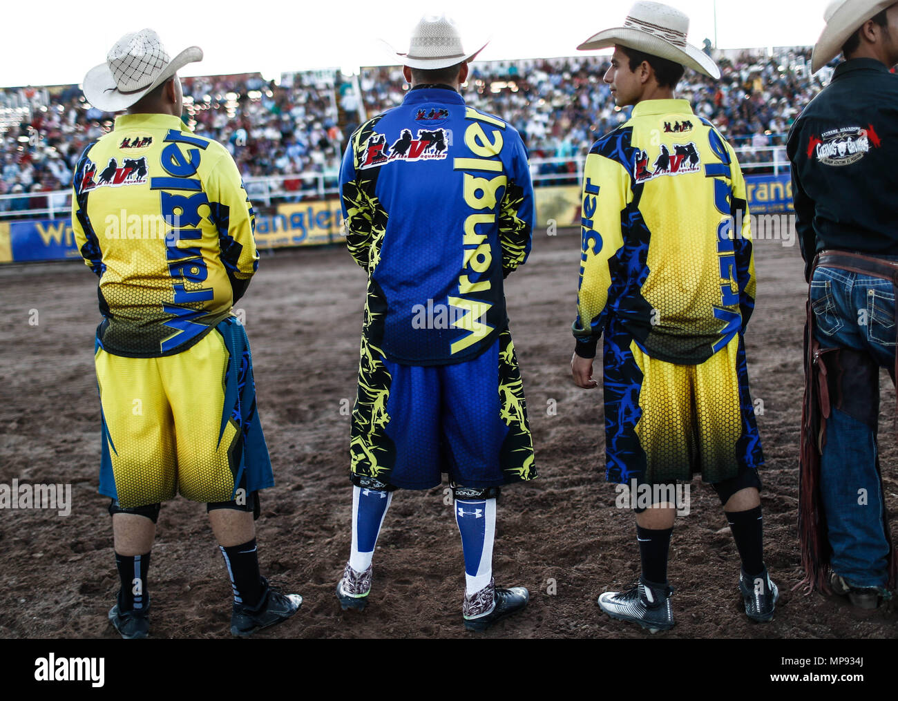 Rodeo Expogan. Behind the scene of the sport of Vaqueros, horse riders ...