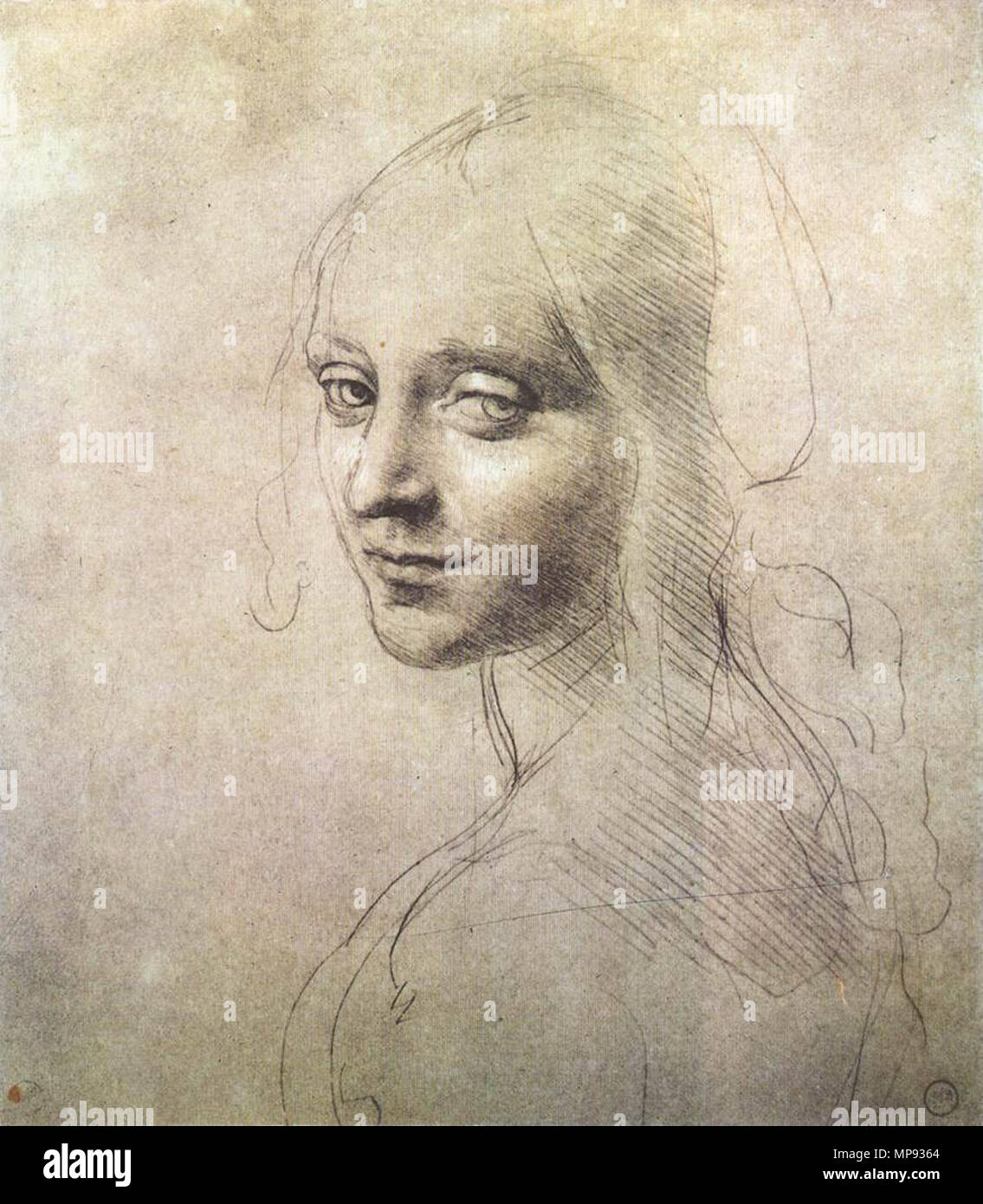 Lucan portrait of Leonardo da Vinci - Wikipedia