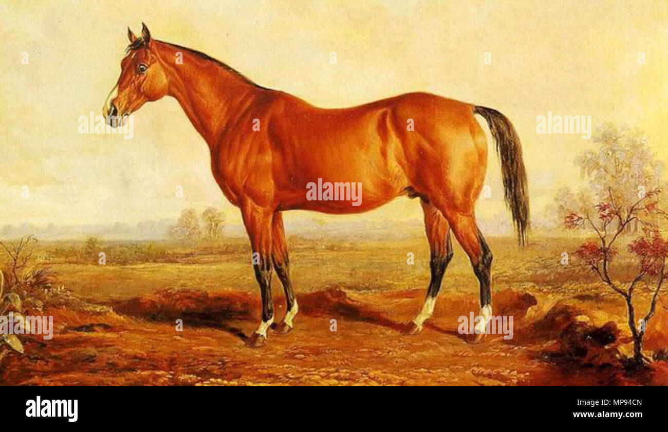 . Lexington (1850–1875) won six of his seven race starts. He became the most successful sire during the second half of the nineteenth century when he was the leading sire in North America 16 times. circa 1860.   Edward Troye  (1808–1874)     Alternative names Édouard de Troy; Edward Troy; Edouard de Troy  Description American painter  Date of birth/death 12 July 1808 25 July 1874  Location of birth/death Lausanne, Switzerland Georgetown  Authority control  : Q5345650 VIAF: 11183232 ISNI: 0000 0000 6703 8127 ULAN: 500008314 LCCN: n82020483 NLA: 36515487 WorldCat 808 Lexington (USA) Stock Photo