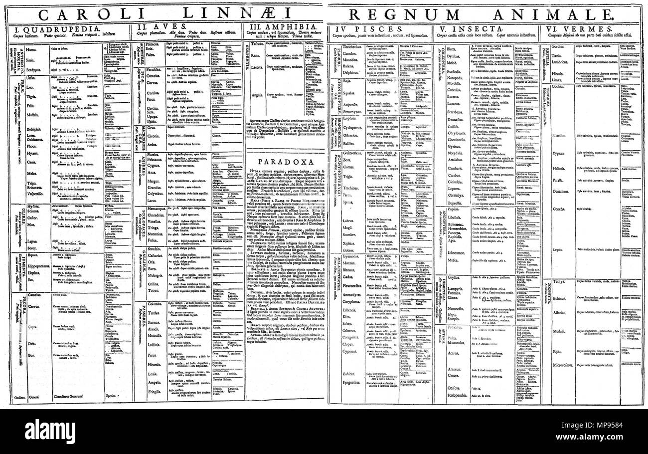 . Table of the Animal Kingdom (Regnum Animale) from Carolus Linnaeus's first edition (1735) of Systema Naturae. .   Carl Linnaeus  (1707–1778)       Alternative names Carl Linnaeus  Description geologist, professor, botanist, physician, autobiographer and naturalist  Date of birth/death 23 May 1707 10 January 1778  Location of birth/death Råshult Linnaeus Hammarby  Work location Uppsala; Stockholm  Authority control  : Q1043 VIAF: 34594730 ISNI: 0000 0001 2127 4957 ULAN: 500372798 LCCN: n79109333 NLA: 35307414 WorldCat 812 Linnaeus - Regnum Animale (1735) Stock Photo