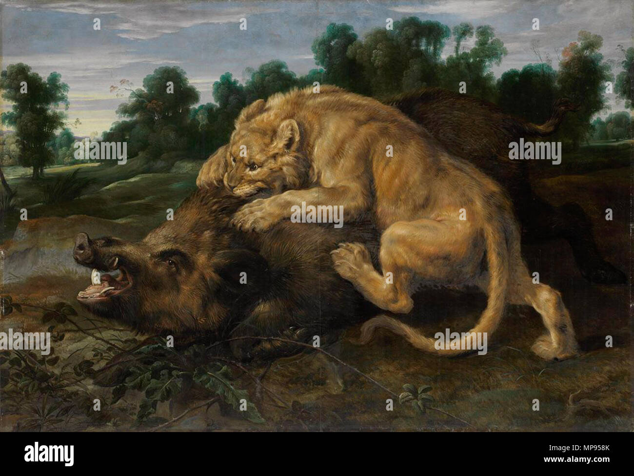 Lion killing hires stock photography and images Alamy