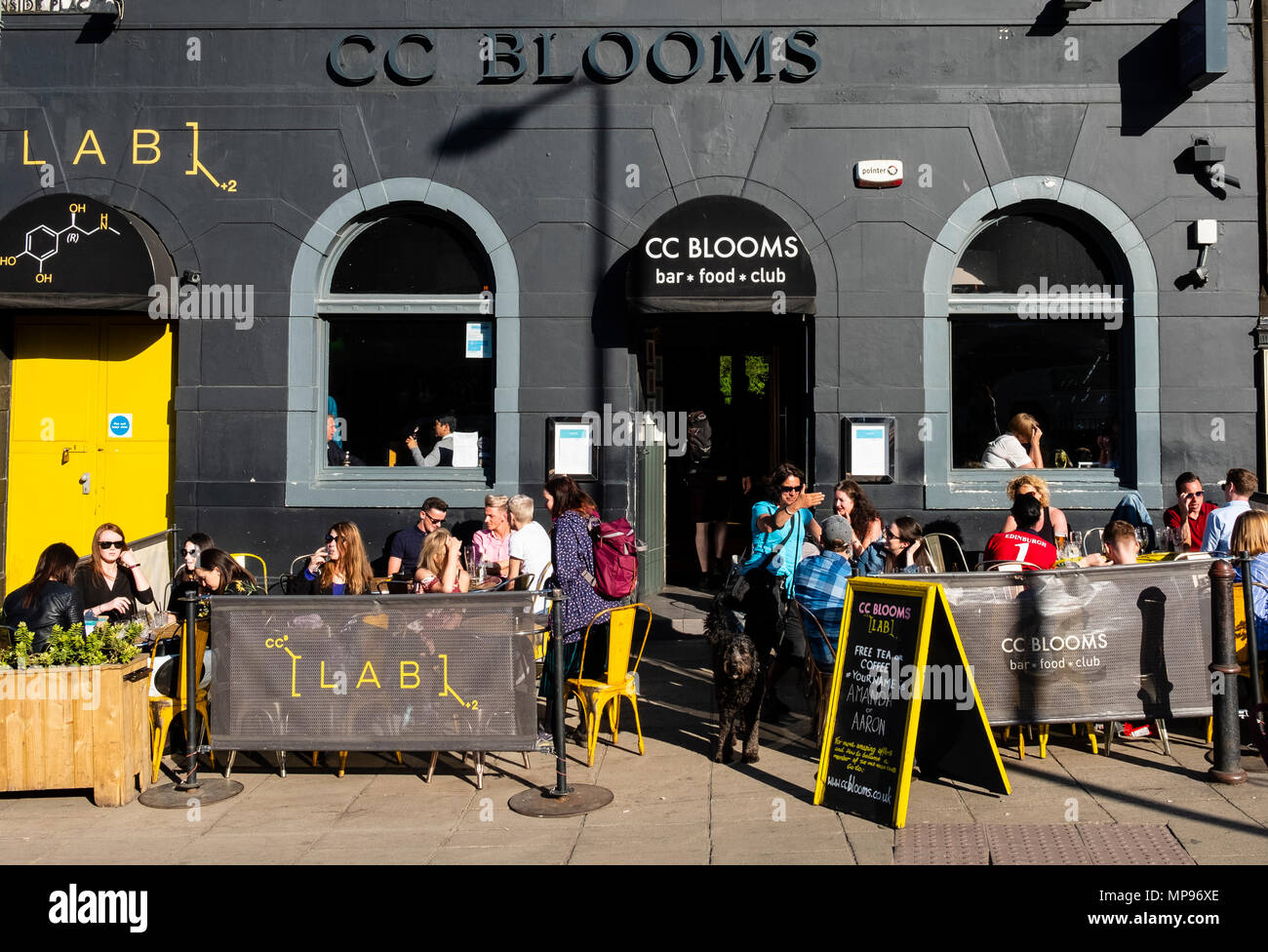 Exterior of TCC Blooms pub with people drinking outside on warm evening  in Edinburgh, Scotland, UK, United Kingdom Stock Photo