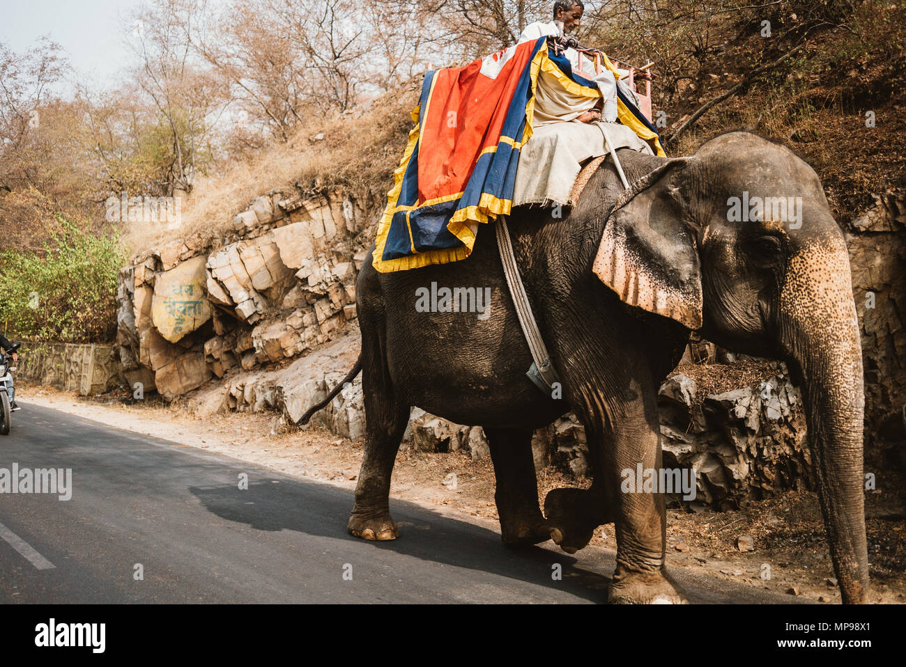 Ride elephants hires stock photography and images Alamy