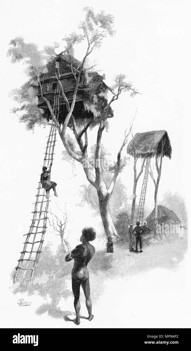 Engraving of tribal tree house, Papua New Guinea. From the Picturesque  Atlas of Australasia Vol 3, 1886 Stock Photo - Alamy
