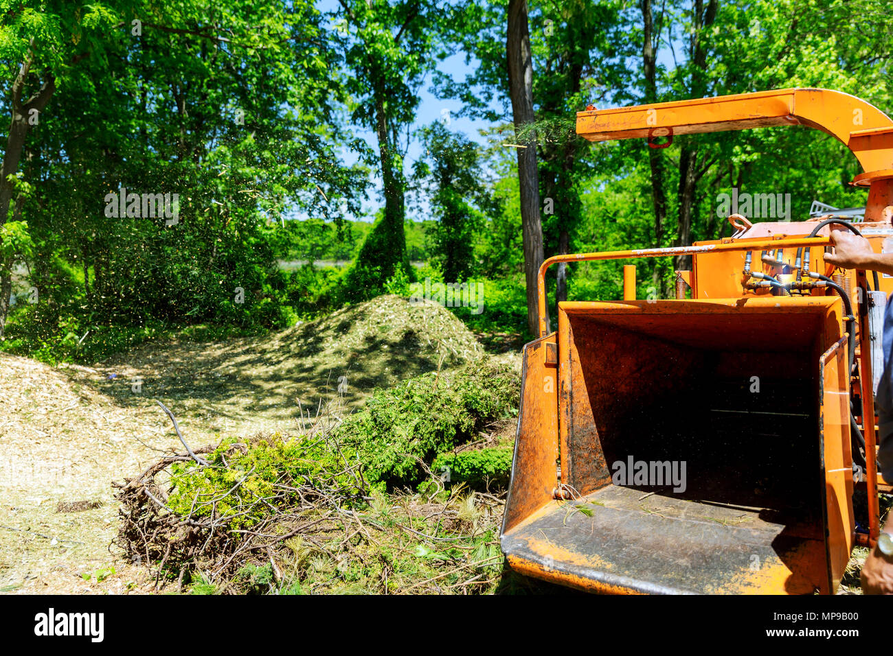 Wood Chipper And Shredder Machine Blowing Tree Branches Cut Stock Photo Alamy