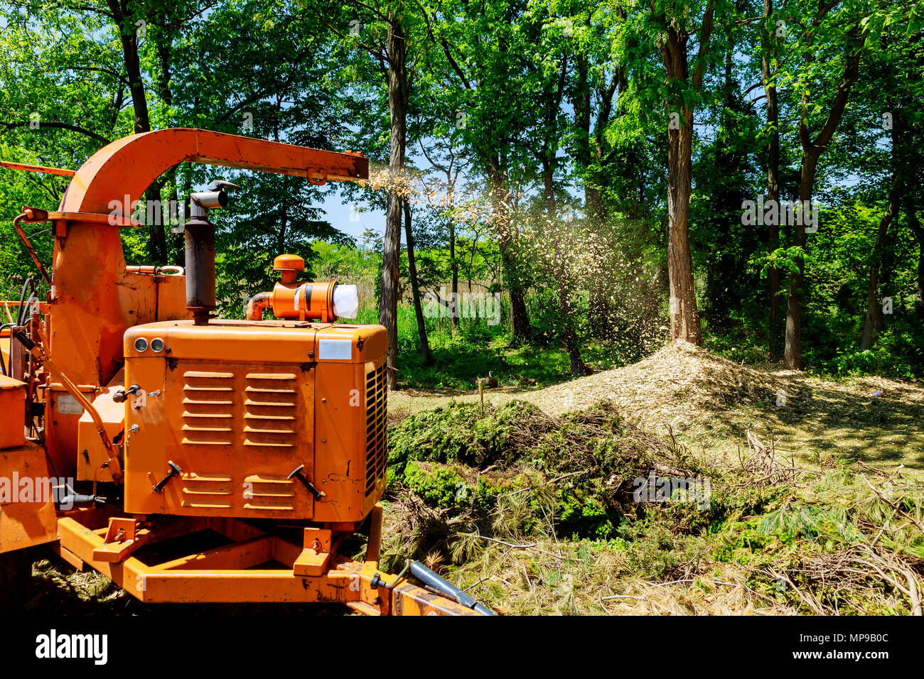 Landscapers using wood Chipper in Action captures a wood chipper or