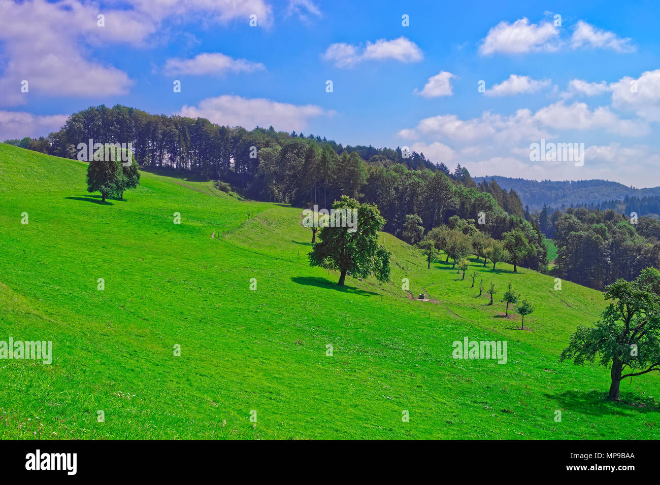 Nature of Turbenthal village with Swiss in Winterthur district, Zurich canton in Switzerland Stock Photo - Alamy