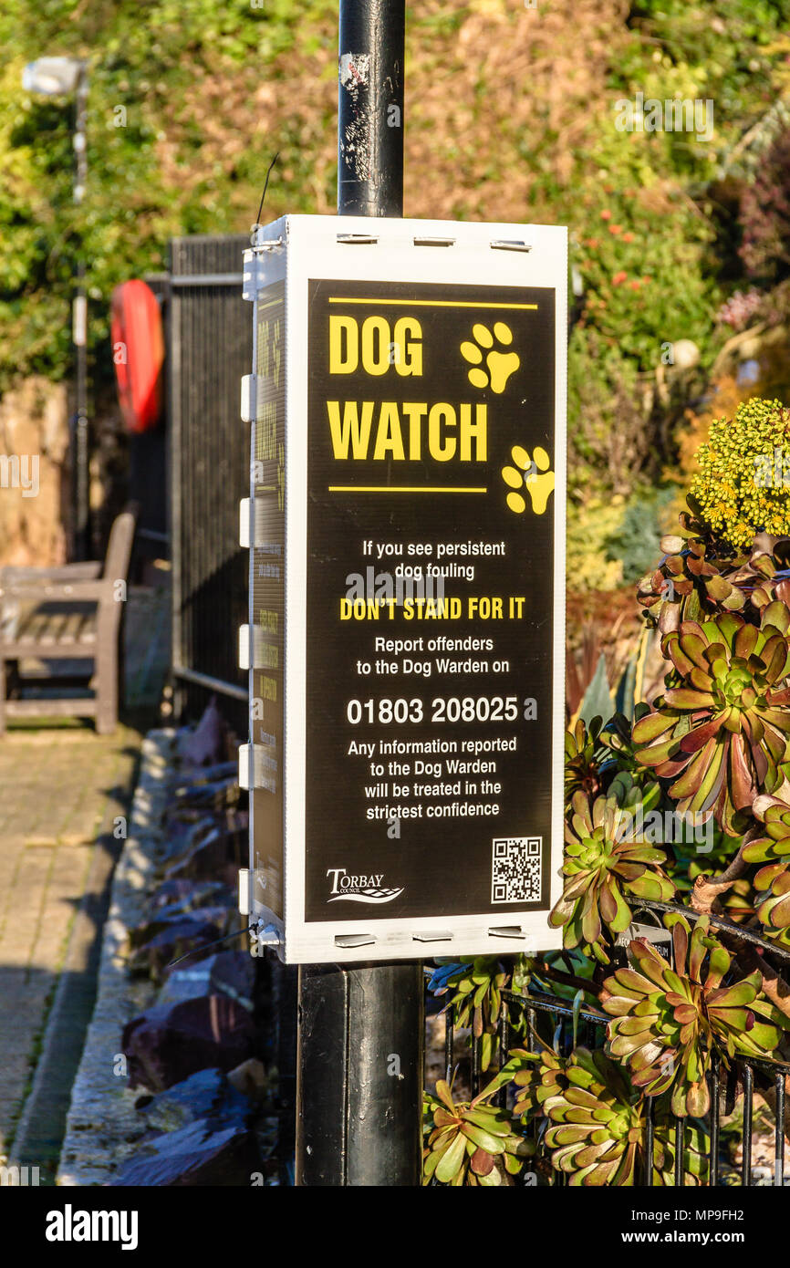 Why Is It Called Dog Watch
