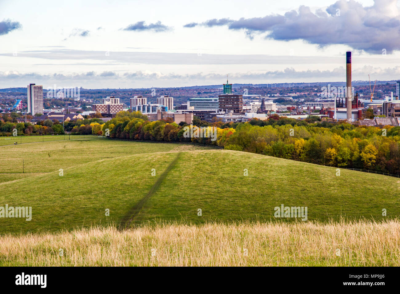 Skyline of Newcastle Upon Tyne in autumn viewed from town moor Stock Photo