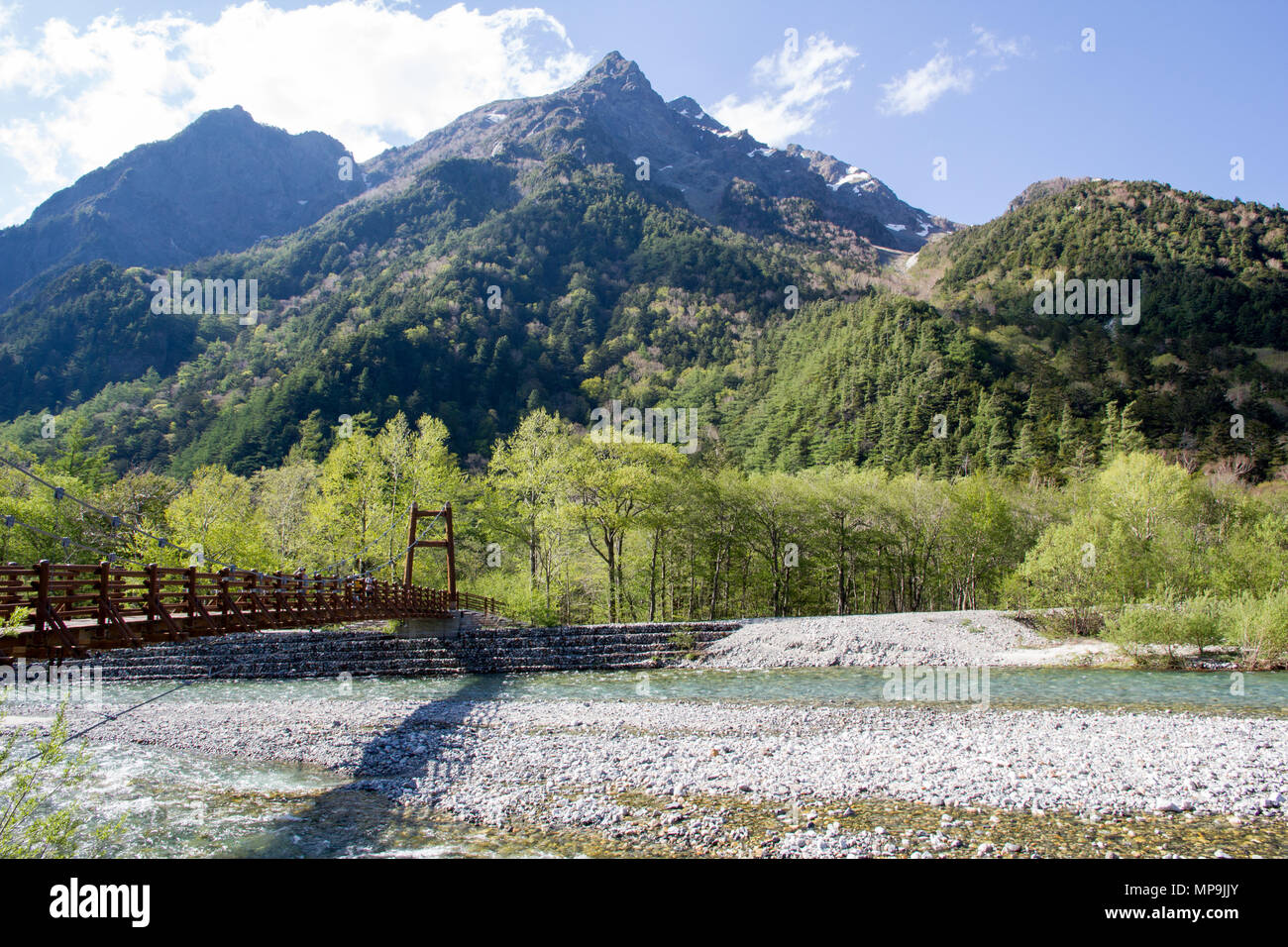 A suspension bridge crosses the river in the Kamikochi region of the Japanese Alps, Nagano, with lush green trees and high mountains in the background Stock Photo