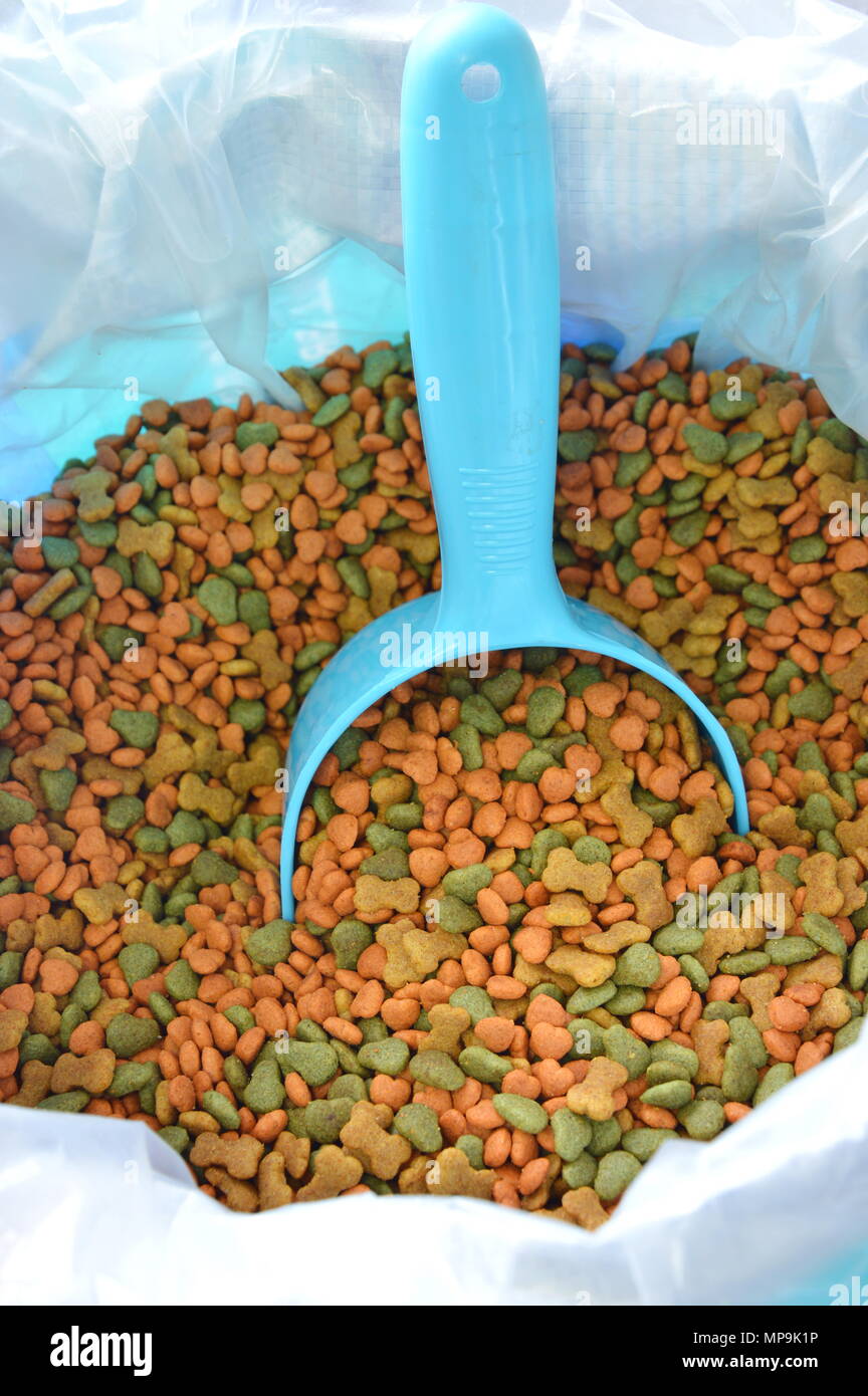 dog food in blue plastic scoop Stock Photo Alamy