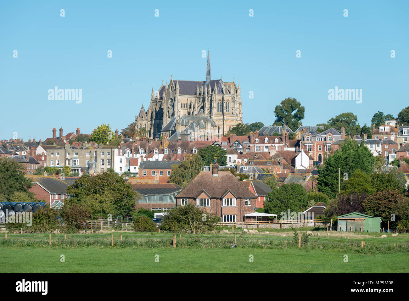 Arundel Cathedral next to houses and in front of a farmers field in