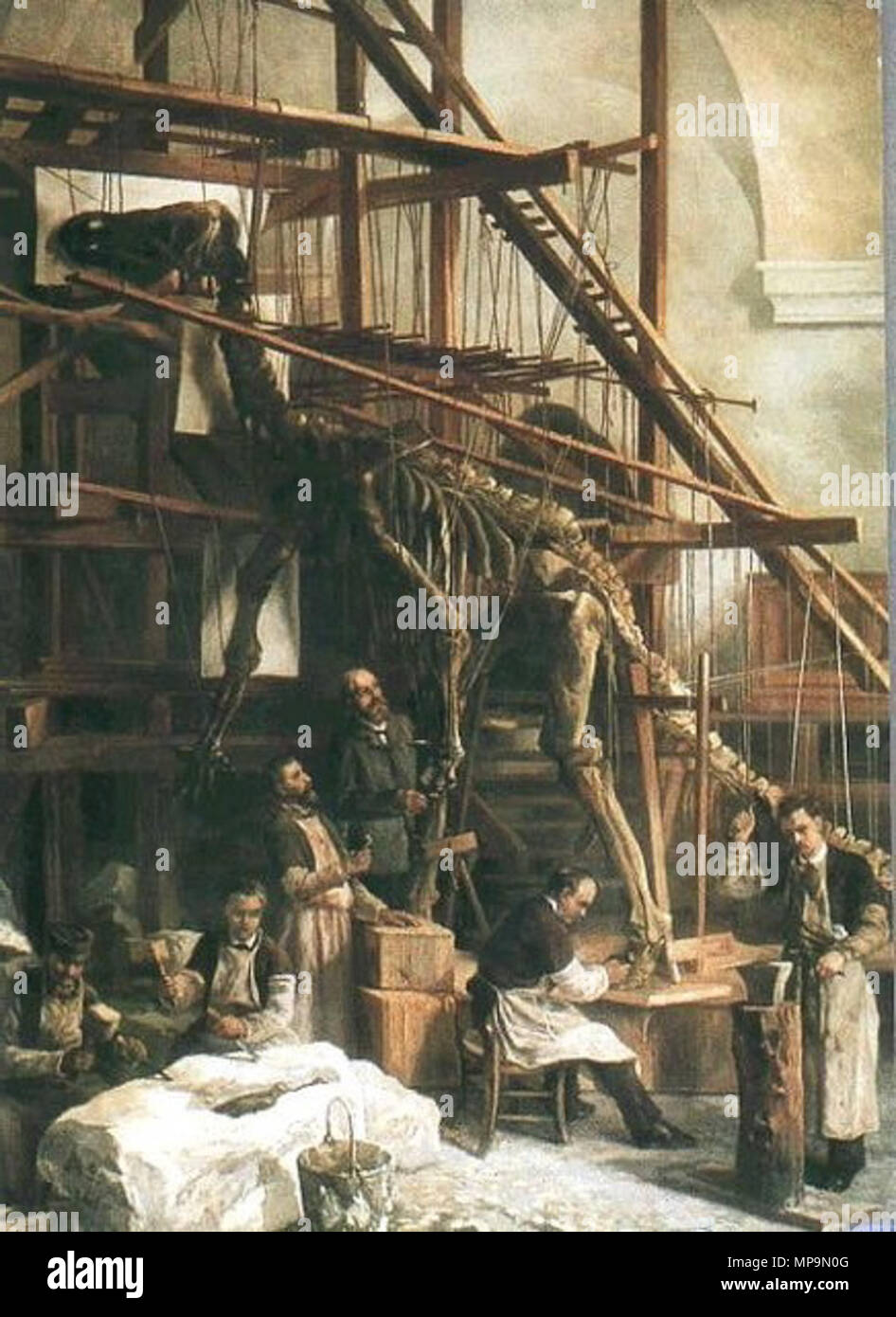 . English: Louis François De Pauw, head preparer at the Royal Belgian Institute of Natural Sciences, supervising the first reconstruction of an Iguanodon in the St. George Chapel in Brussels, 1882. Belgian paleontologist Louis Dollo (1857-1931) directed the works (not in the picture). Painting on display in the Brussels Museum of Natural History. Español: El naturalista Louis François De Pauw, jefe de talleres del Real Instituto Belga de Ciencias Naturales, supervisando la primera reconstrucción de un Iguanodon en la Capilla de San Jorge en Bruselas, en 1882. El paleontólogo Louis Dollo (1857- Stock Photo