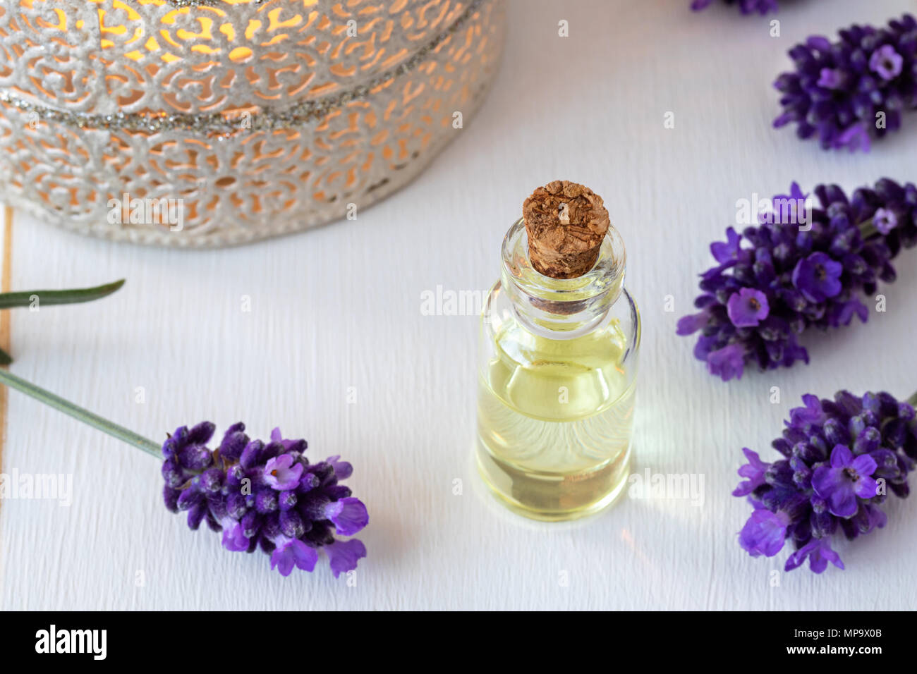 A bottle of essential oil with fresh blooming lavender twigs on a white ...