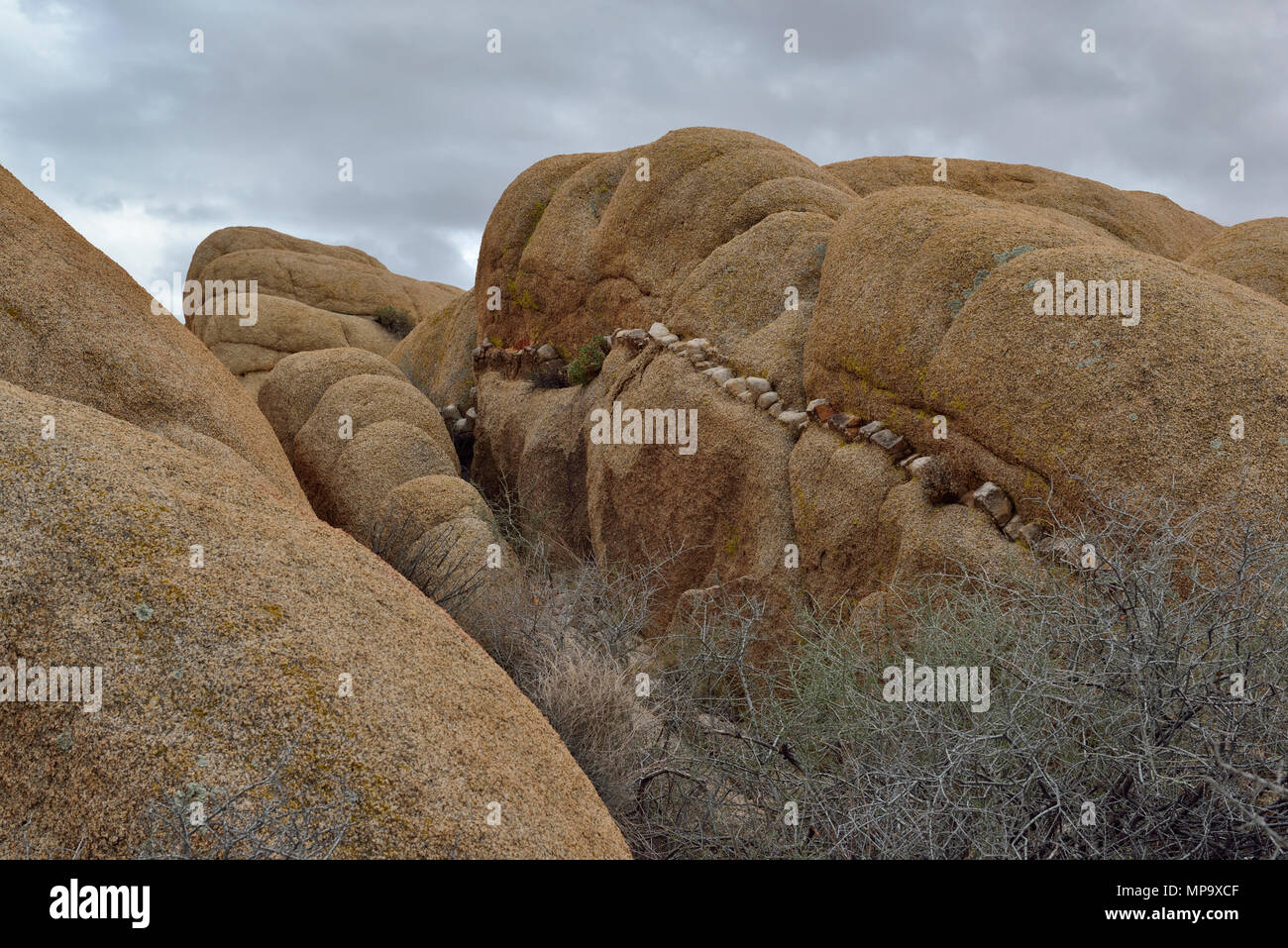 Monzogranite rock with Aplitic Vein, Jumbo Rocks, Joshua Tree, CA 180312 68174 Stock Photo