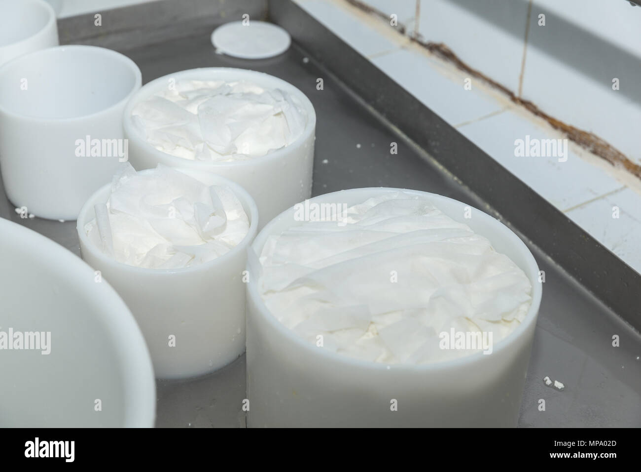 goat cheese making process and shop in Tenerife, Canary Islands, Spain