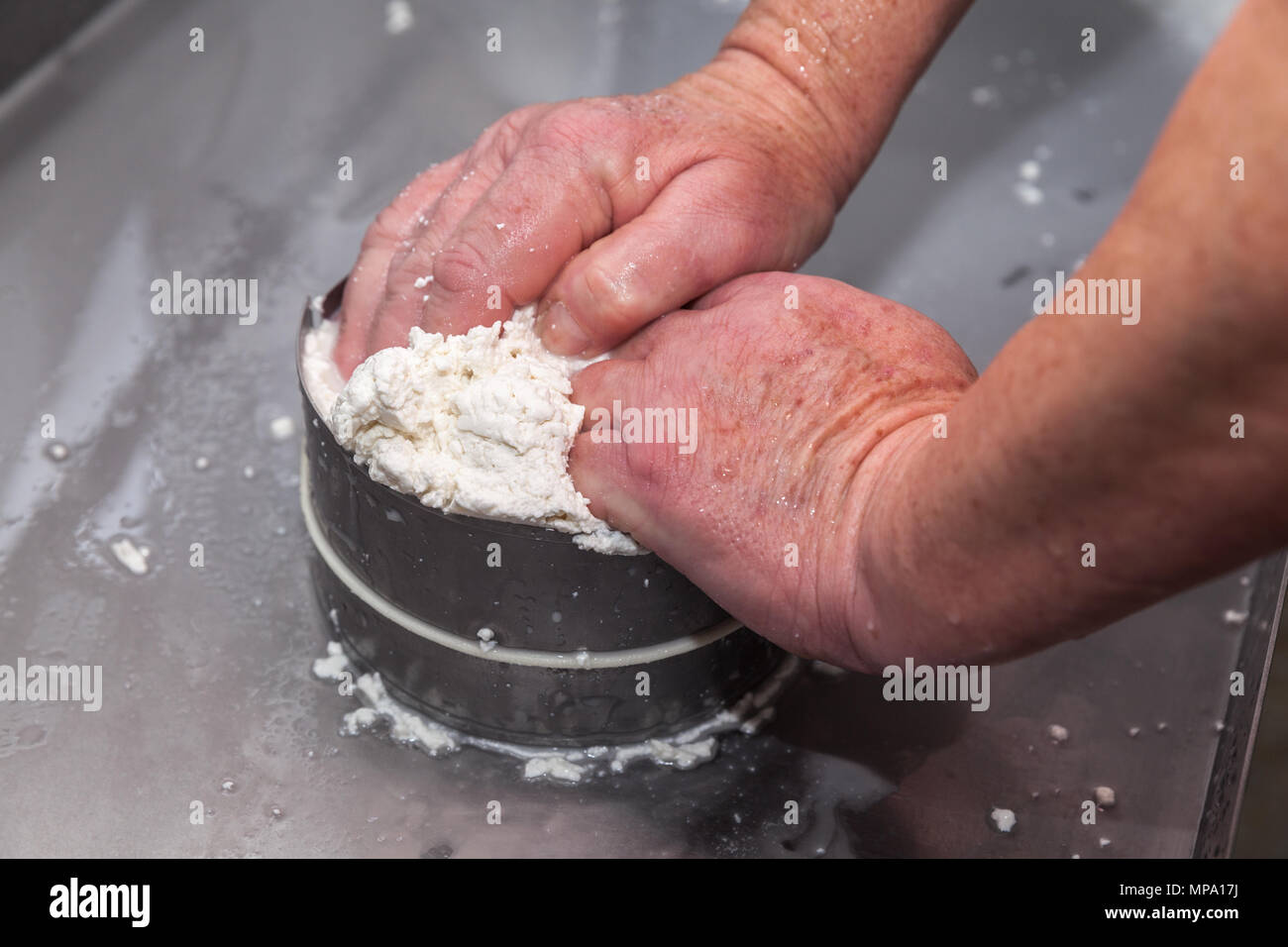 goat cheese making process and shop in Tenerife, Canary Islands, Spain