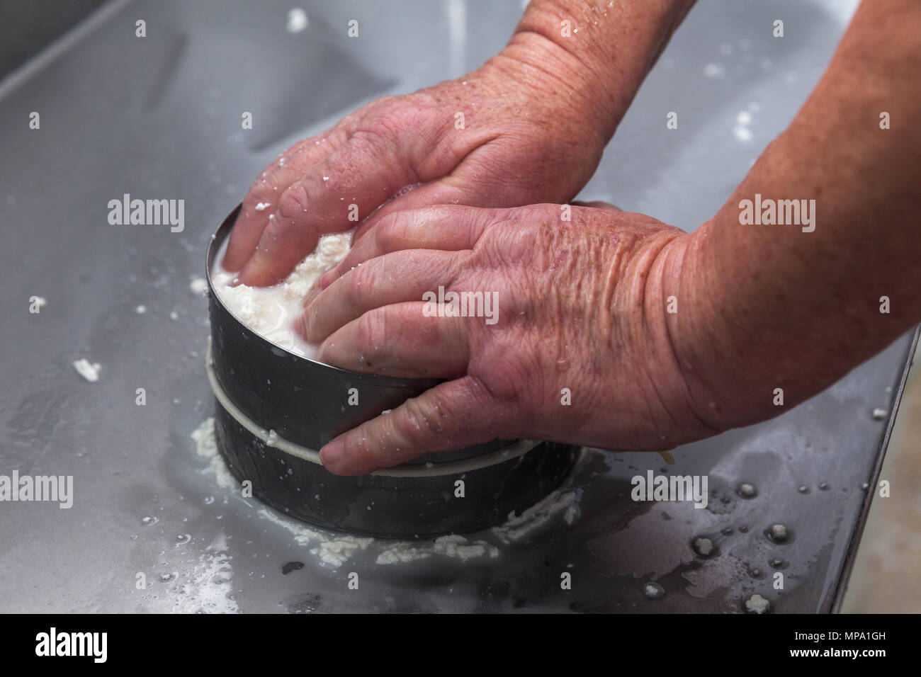 goat cheese making process and shop in Tenerife, Canary Islands, Spain