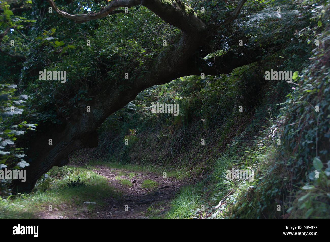 Ominous shadow hi-res stock photography and images - Alamy