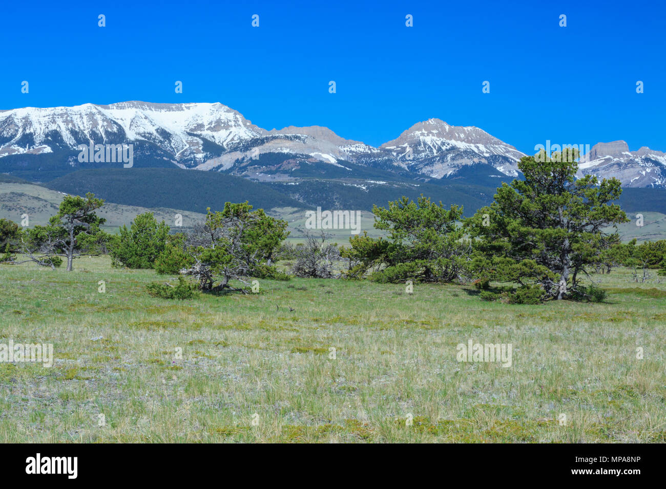 peaks along the rocky mountain front near choteau, montana Stock Photo