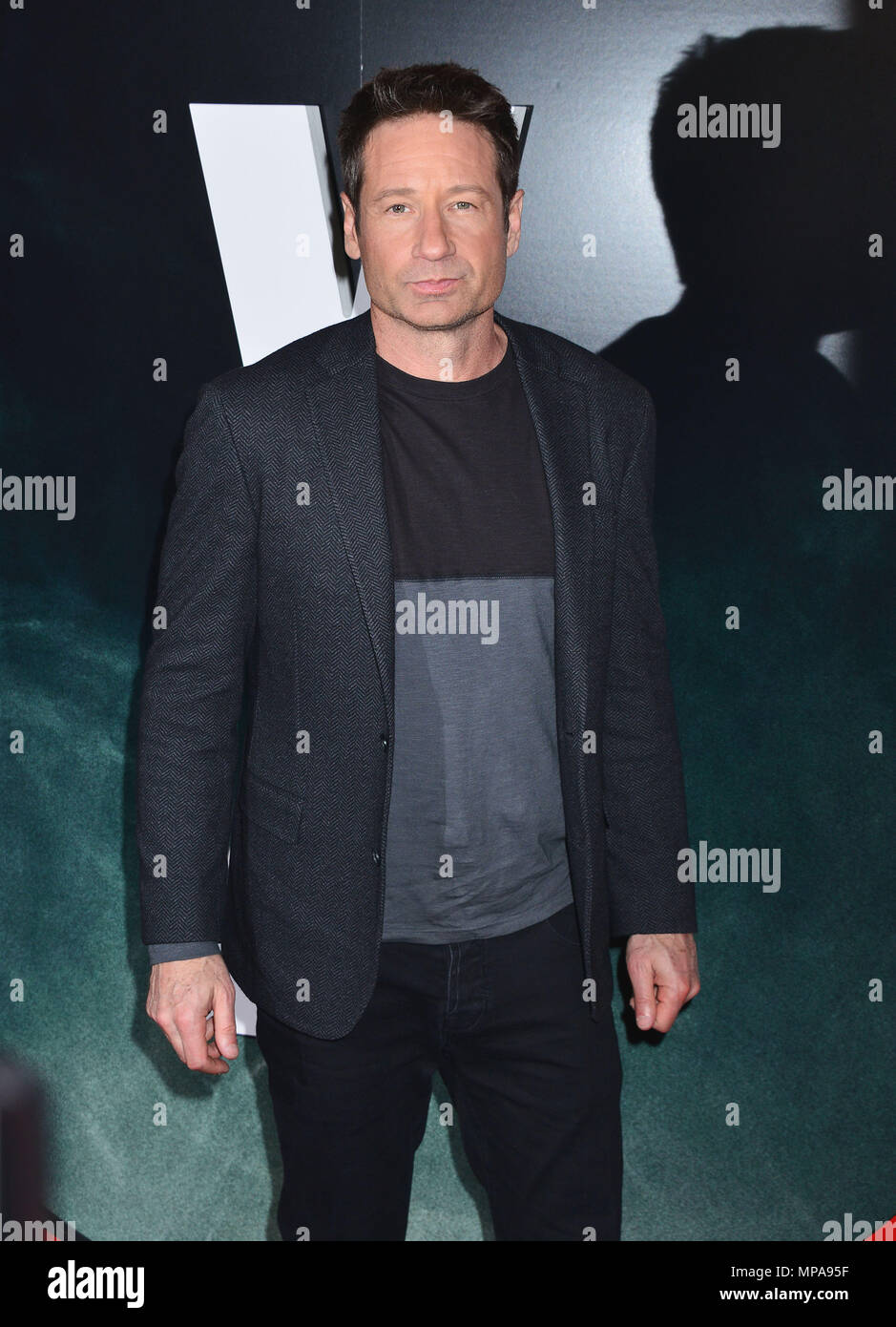 david-duchovny-021-red-carpet-event-hi-res-stock-photography-and-images
