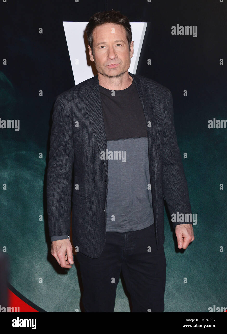 david-duchovny-022-red-carpet-event-hi-res-stock-photography-and-images