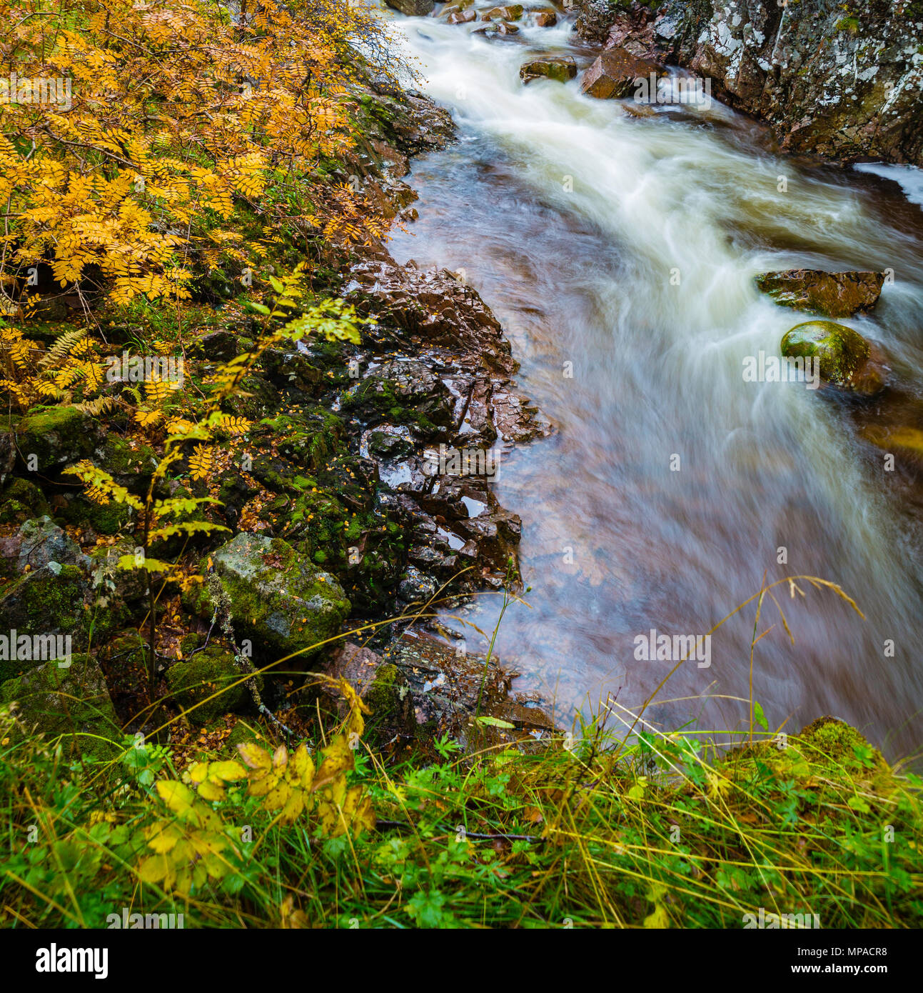This abstract has motion and calmness at the same time and thats why I bring it to you for your creative touch Stock Photo