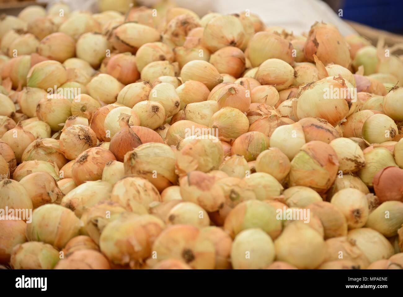 Fruit and vegetables in turkish food market Stock Photo - Alamy