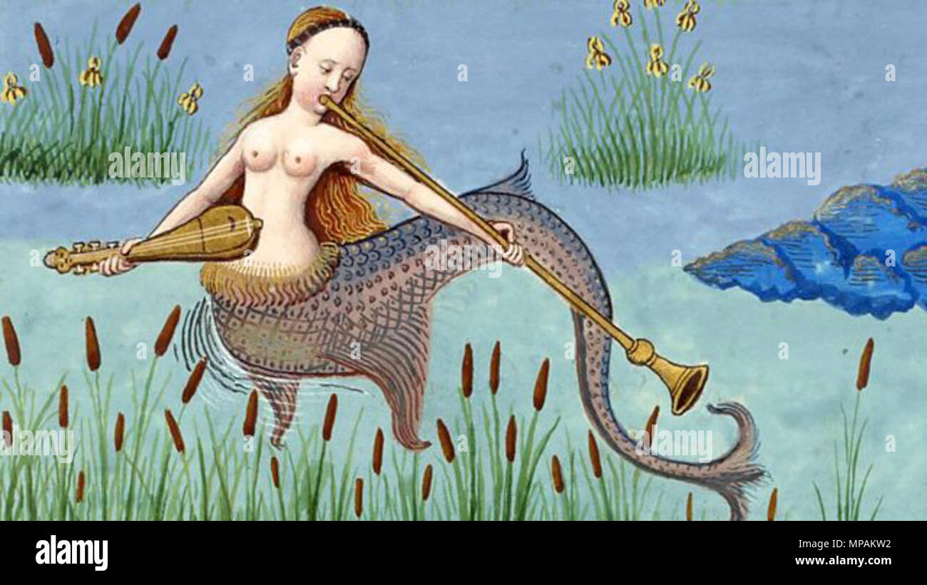 English: Mermaid Italiano: Sirena Español: Sirena Français : Sirène .  Medieval period. Unknown 879 Medieval Mermaid Stock Photo - Alamy