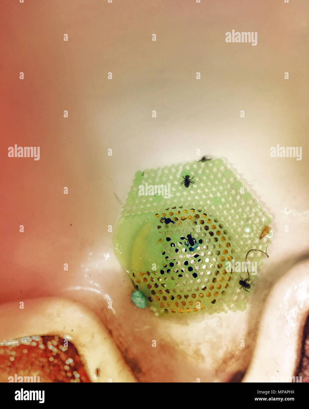 Flies on Urinal Stock Photo Alamy