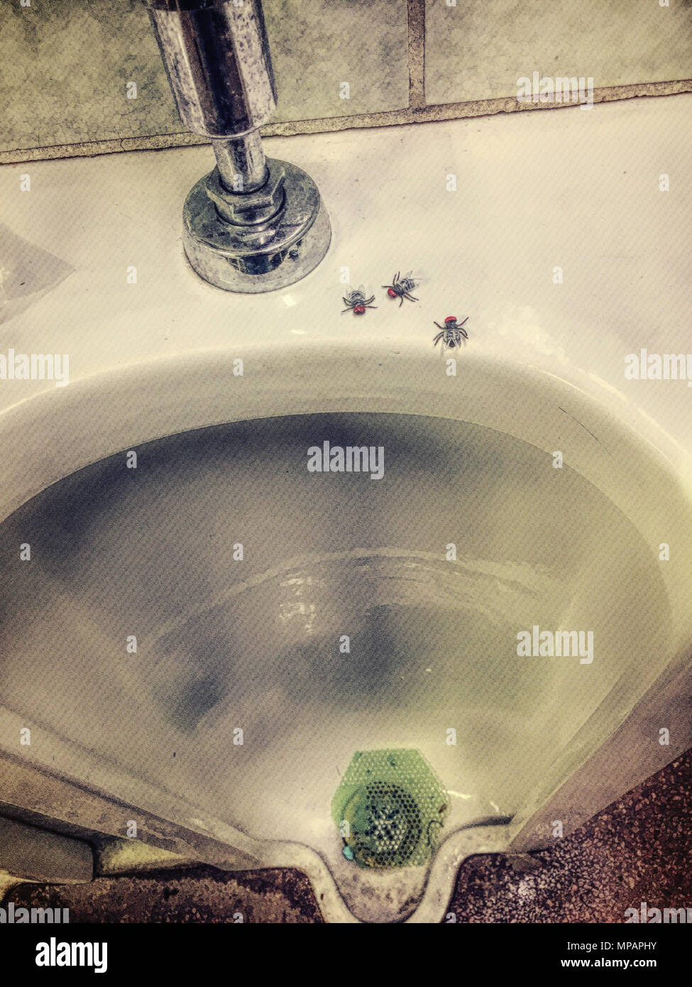 Flies on Urinal Stock Photo Alamy