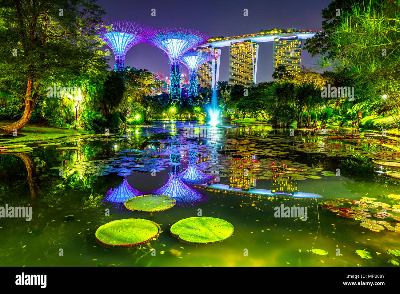 Spectacular skyline of Gardens by the Bay with blue and violet lighting and modern skyscraper reflecting in Water Lily Pond by night. Marina bay area in Central Singapore, Southeast Asia. Stock Photo