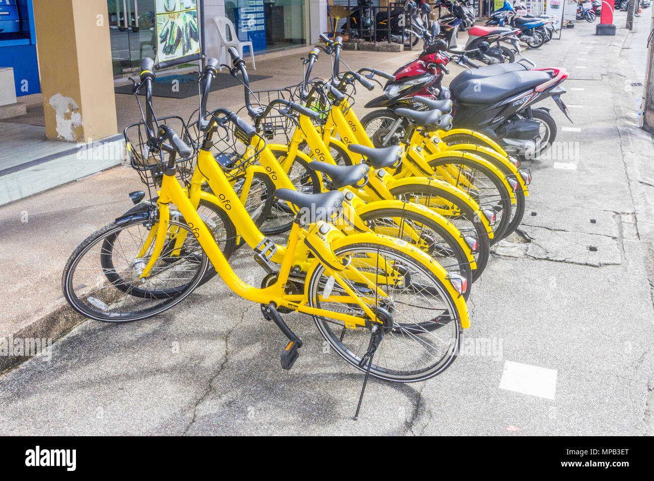 Chinese company Ofo station free bicycles, Phuket, Thailand Stock Photo